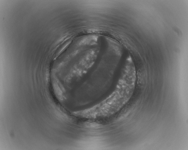 X0000115320648200911231351