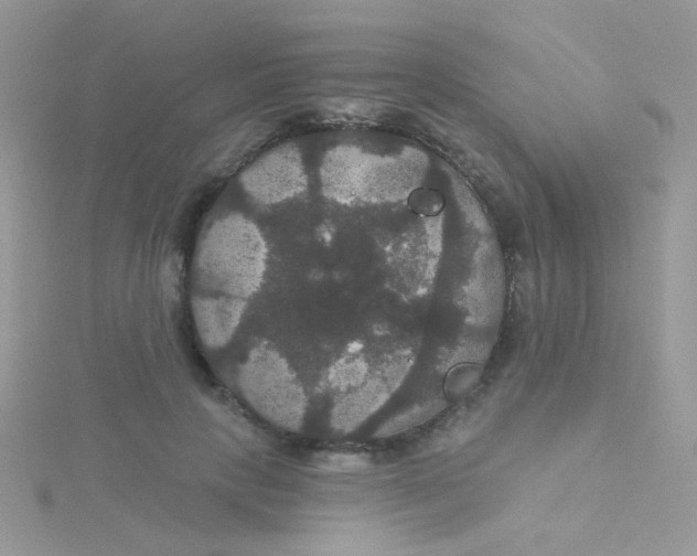 X0000115320649200911231351