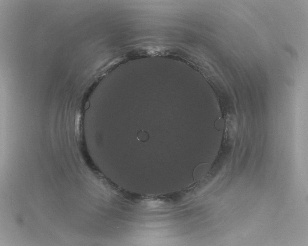 X0000115320650200911231351