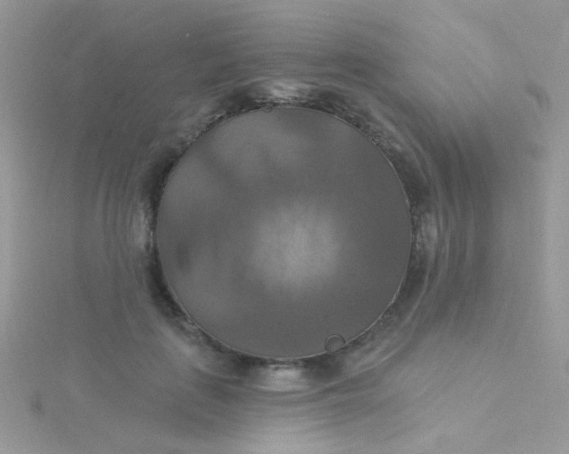 X0000115320651200911231351