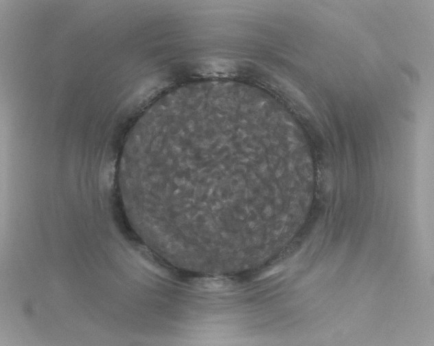 X0000115320652200911231351