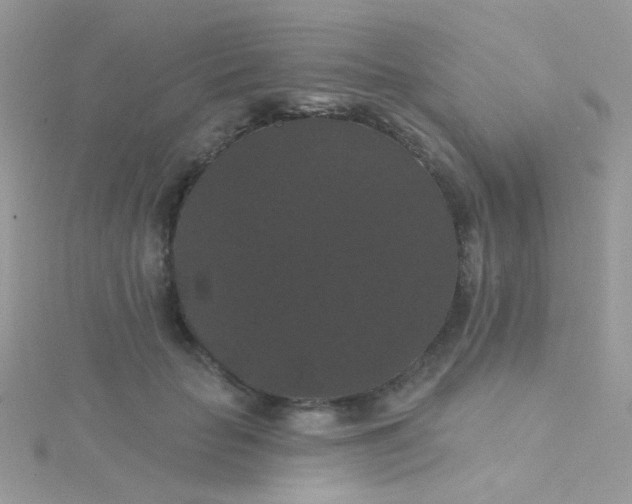 X0000115320653200911231351