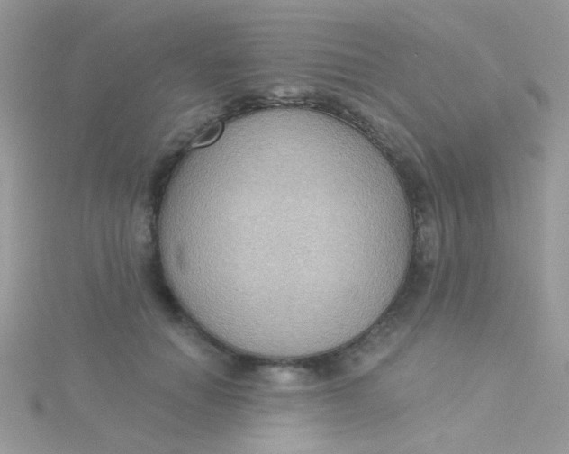 X0000115320654200911231351