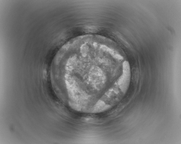 X0000115320655200911231351