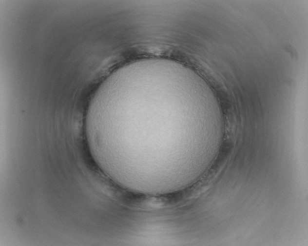 X0000115320656200911231351