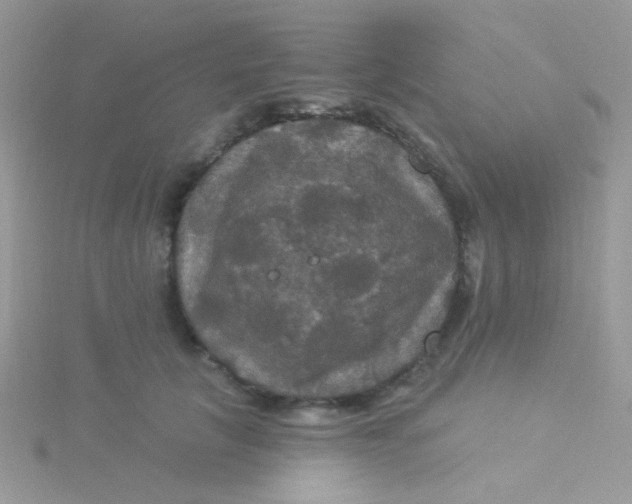 X0000115320657200911231351