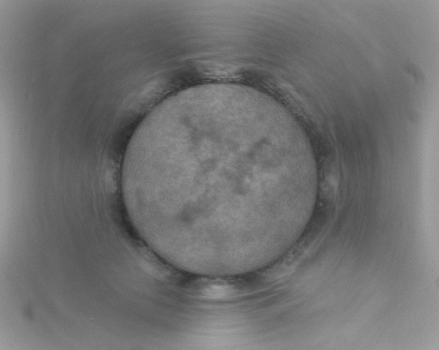 X0000115320658200911231351