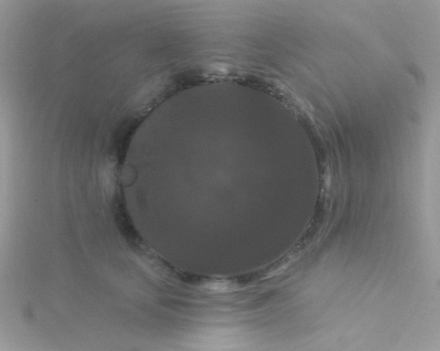 X0000115320659200911231352