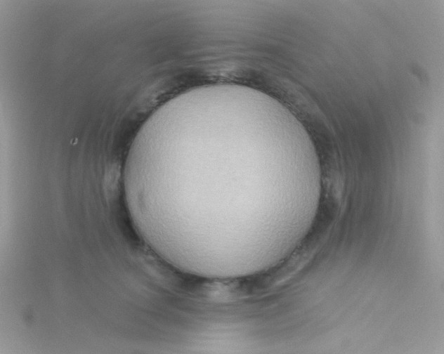 X0000115320660200911231352