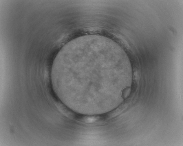 X0000115320662200911231352