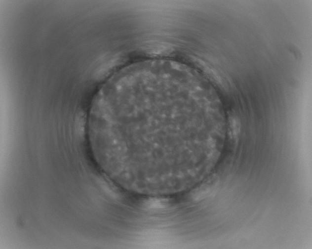 X0000115320664200911231352