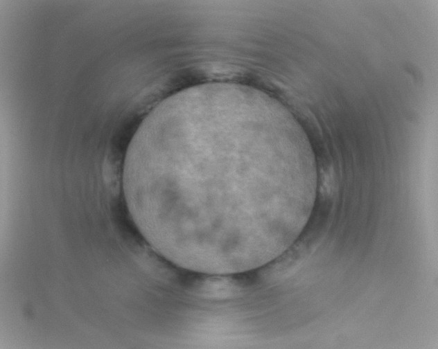 X0000115320666200911231352