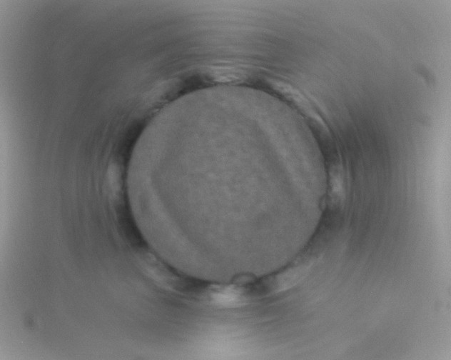 X0000115320667200911231352