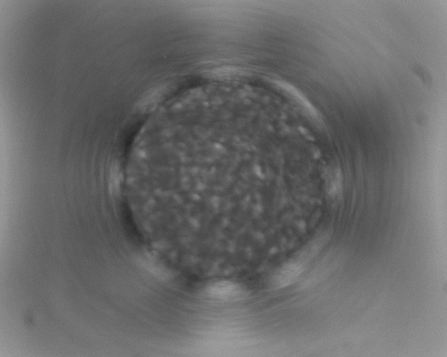 X0000115320669200911231352