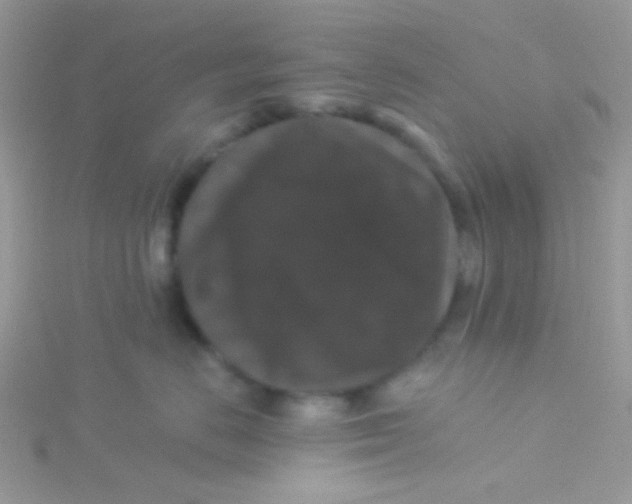 X0000115320670200911231352