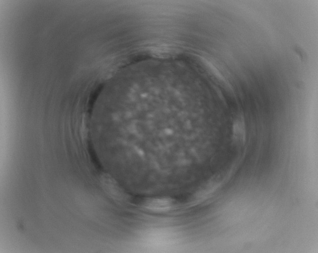 X0000115320671200911231352