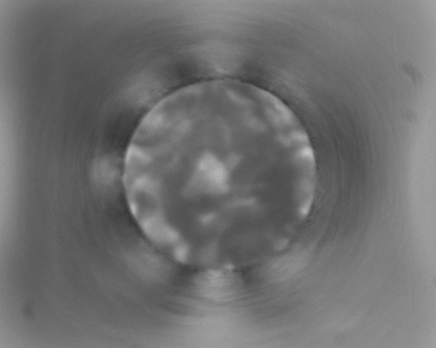 X0000115320672200911231352