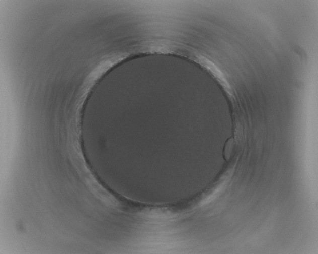 X0000115320673200911231351