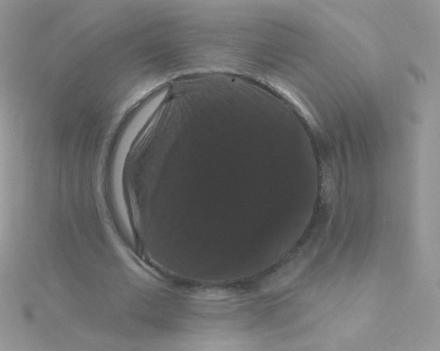 X0000115320677200911231351