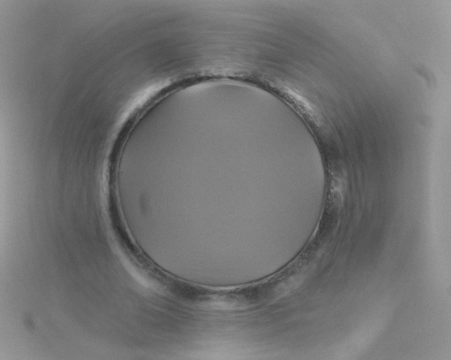 X0000115320678200911231351