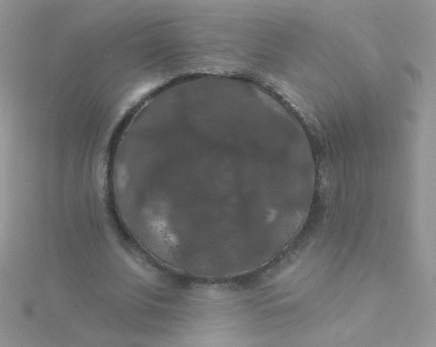 X0000115320679200911231351