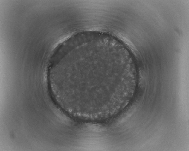 X0000115320681200911231351