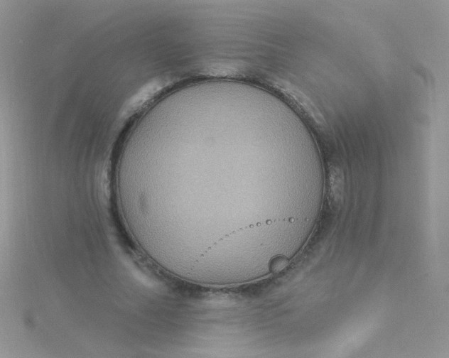 X0000115320682200911231351