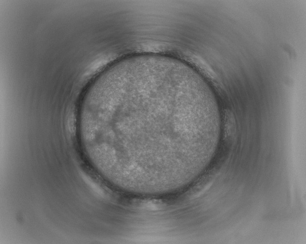 X0000115320683200911231351