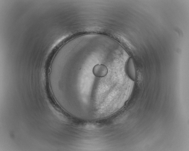 X0000115320684200911231351