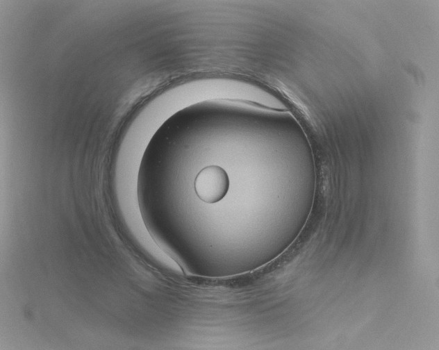 X0000115320685200911231351