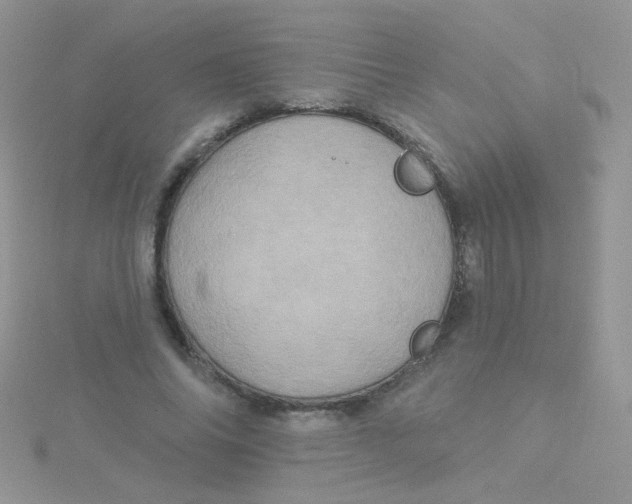 X0000115320686200911231351