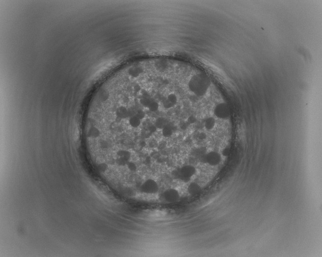 X0000115320687200911231351