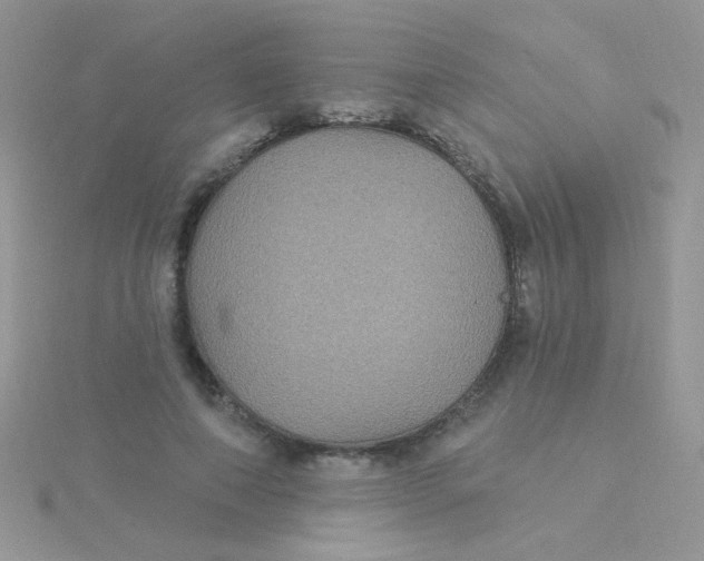 X0000115320690200911231351