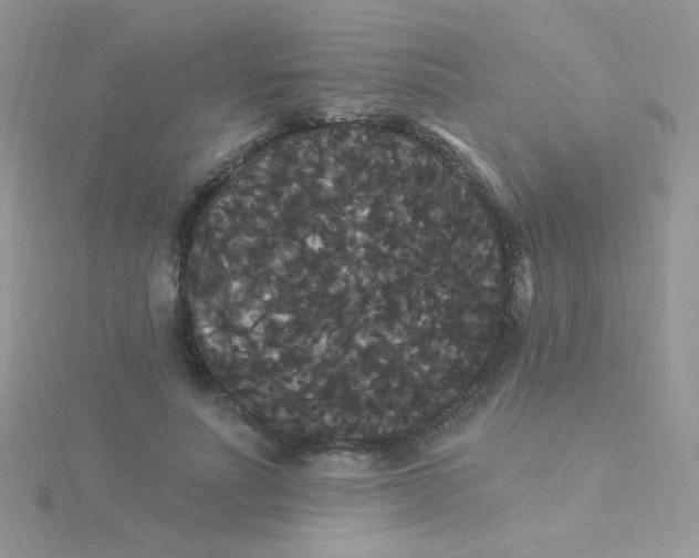 X0000115320691200911231351