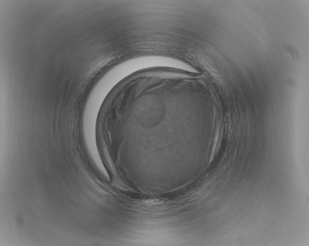 X0000115320692200911231351