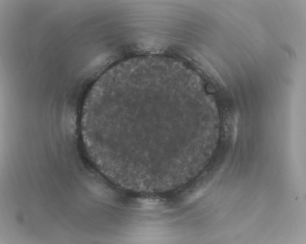 X0000115320693200911231351