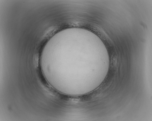 X0000115320694200911231351