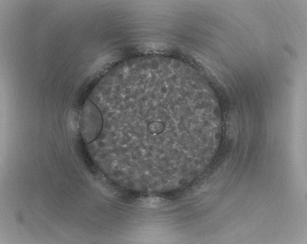 X0000115320695200911231351