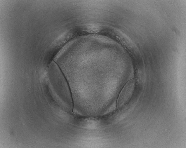 X0000115320697200911231351