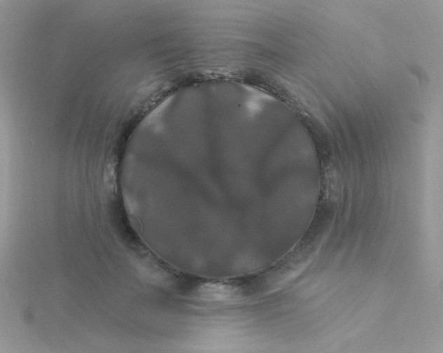 X0000115320699200911231351