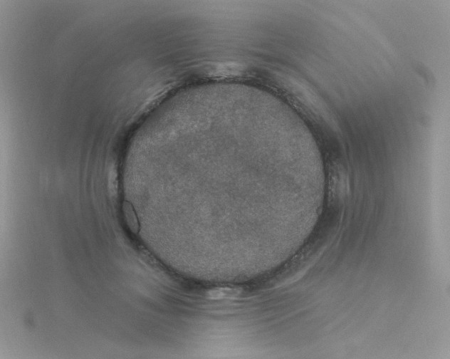 X0000115320700200911231351