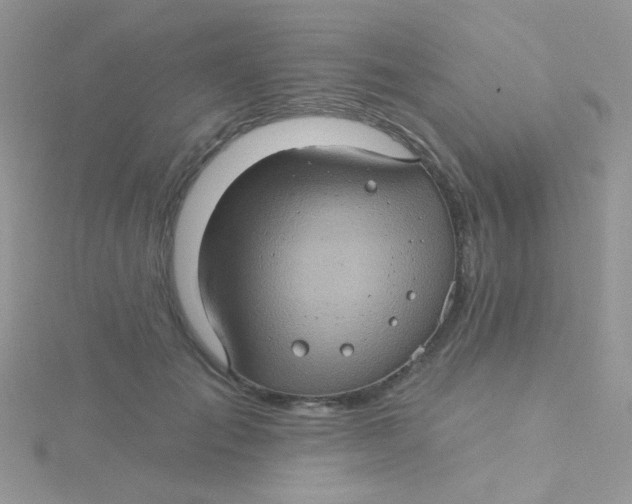 X0000115320701200911231351