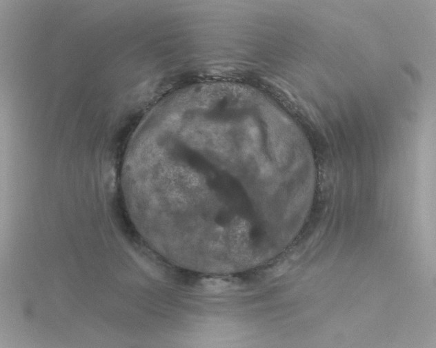 X0000115320703200911231351