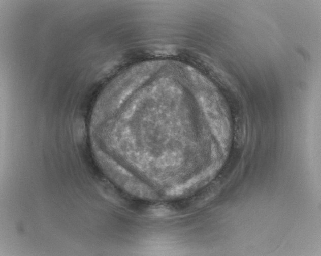 X0000115320704200911231351