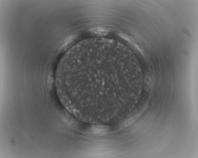 X0000115320707200911231351