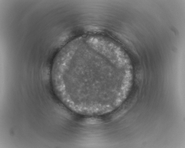 X0000115320708200911231351