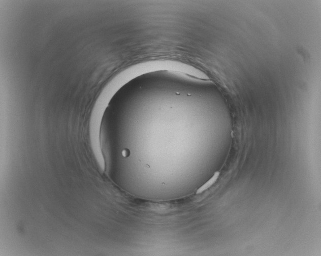 X0000115320709200911231351