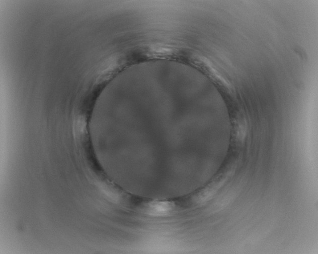 X0000115320711200911231351