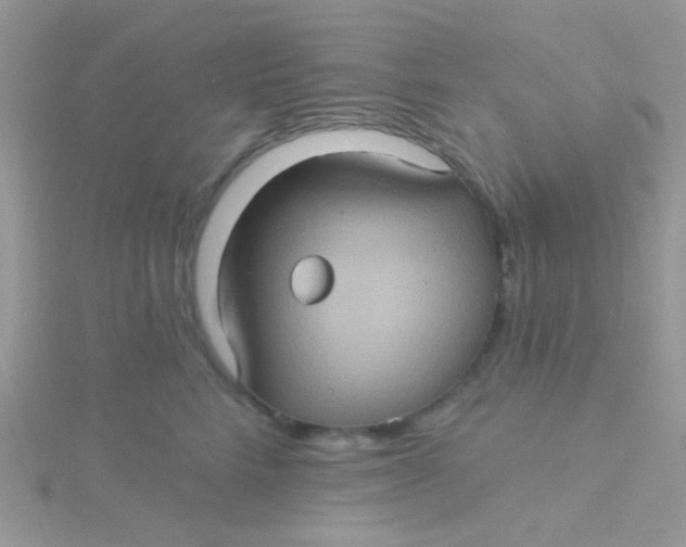 X0000115320712200911231351