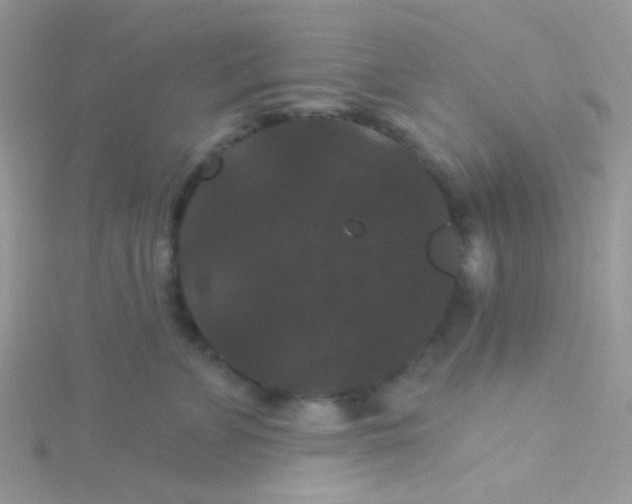 X0000115320715200911231351